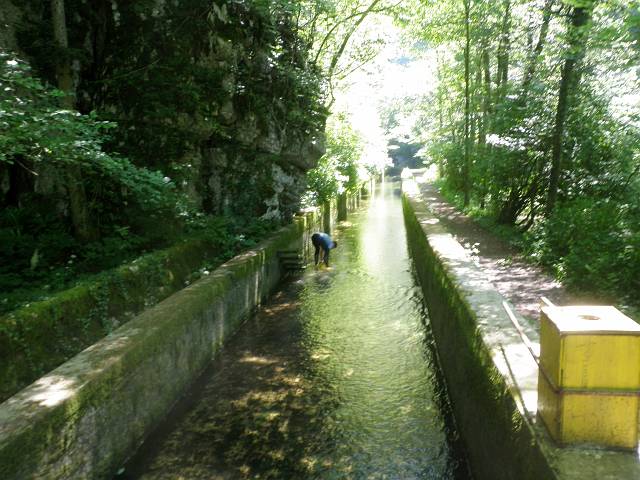 Planinska 50.JPG - Foto: Neboja Matijevi